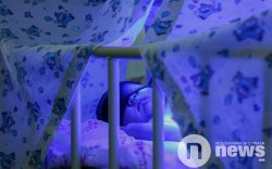 Улсын хэмжээнд шинэ нярайн 60-80 хувь нь шарлалттай төрж байна