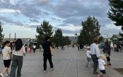 Сурвалжлага: Цэцэрлэгт хүрээлэнгийн цэцэрлэгт усжуулалт дутагдаж байна