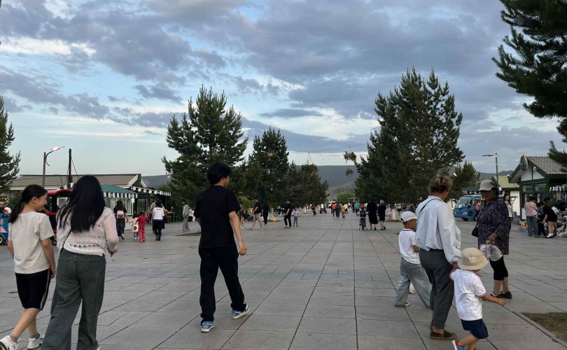 Сурвалжлага: Цэцэрлэгт хүрээлэнд усалгаа дутагдаж байна
