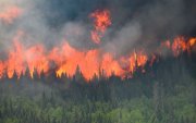 Канад даяар 188 байршилд гал гарч байна