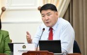 "Мега төсөл хэрэгжүүлэхээр Хөгжлийн банк байгуултал хулгайч нар тоносон"