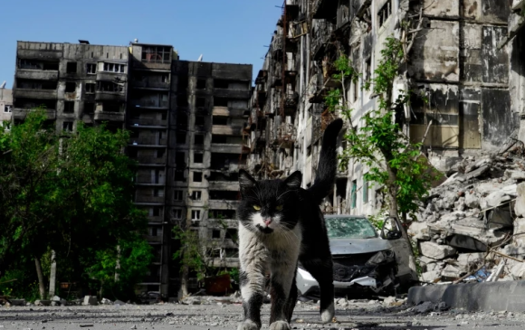 Тэнэгүүдэд зориулсан Мариуполийн үлгэр