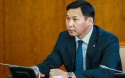 60 тэрбумыг татуулсны бурууг ТНБ-ийн даргадаа хаяглав