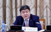 Төрийн байгуулалтын байнгын хорооны даргаар Ц.Сандаг-Очирыг сонголоо