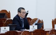 ХЗБХ нь шүдгүй арслан болж, улстөрчид хонгил ярьж байна