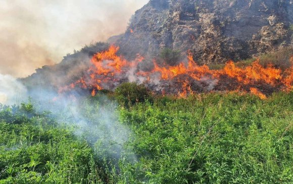Сэлэнгэд гарсан ойн түймрийг унтраахаар 520 гаруй албан хаагч дайчлагджээ