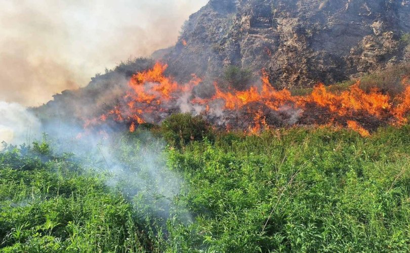 Сэлэнгэд гарсан ойн түймрийг унтраахаар 520 гаруй албан хаагч дайчлагджээ