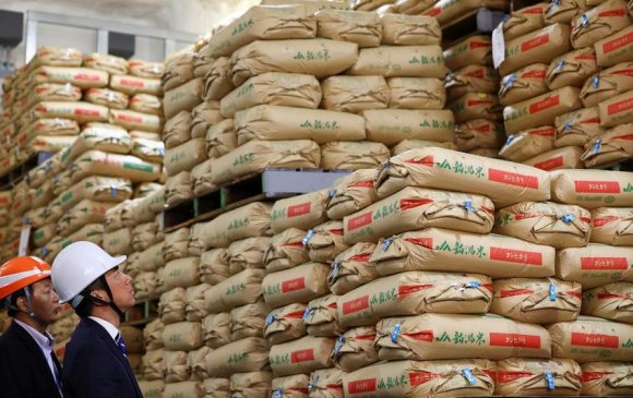 Япон: 200 мянган тонн нөөцийн будаа гаргана