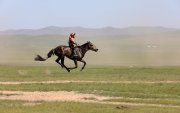 Соёолонгийн уралдаанд 163 хүлэг гараанаас гарлаа