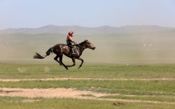 Монгол Улсын алдарт уяач З.Мэндсайханы соёолон түрүүллээ