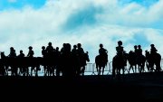 Даага ирлээ! гэсэн шуугиан наадмын хөндийг дүүргэсэн сэн…