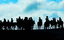 Даага ирлээ! гэсэн шуугиан наадмын хөндийг дүүргэсэн сэн…