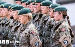Дани эмэгтэйчүүд сугалааны системээр цэрэгт татагдана