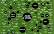 Хамгийн хөгжилтэй “Давхар эрүүнүүд”, “Согтуу эрс”, “Нисч буй сармагчингууд” хөлбөмбөгийн клубууд | 1xBet Монгол