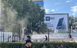 Урт цагааны цэцэрлэгт хүрээлэнг нээнэ