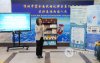 online Chine visa (2 of 4)
