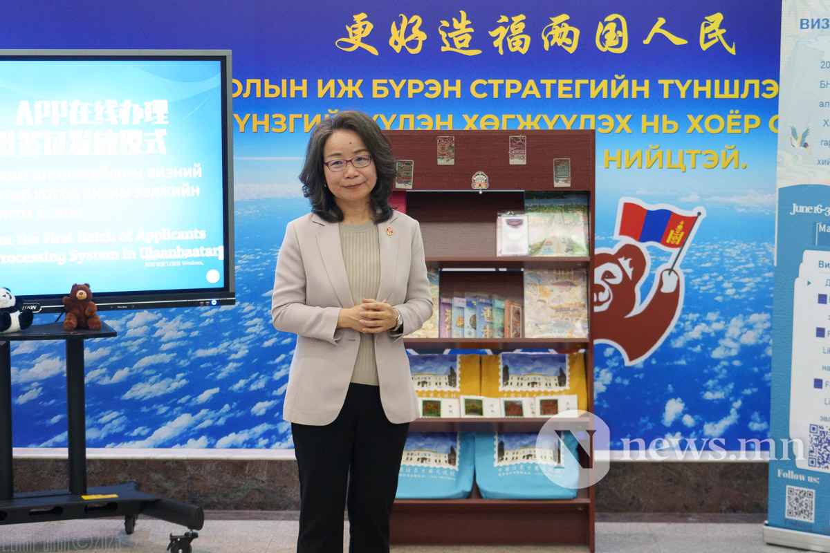 online Chine visa (3 of 4)