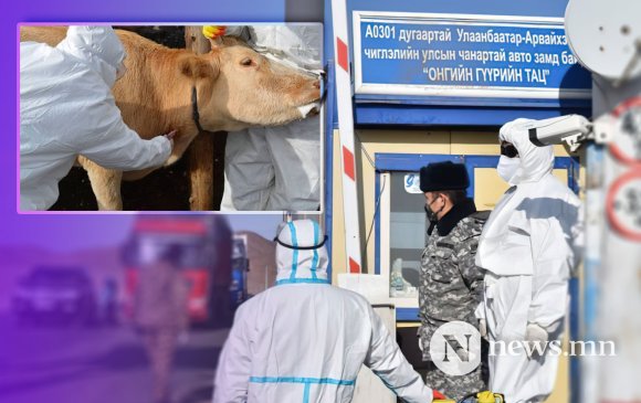 Гачууртад шүлхий бүртгэгдэж, хөл хорио тогтоожээ