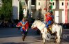turiin ysun hult tsagaan tug tsenguuleh yoslol (6 of 9)