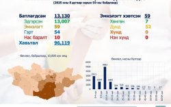 Улаанбурханаар өвчилсөн 0-4 насны 2000 гаруй хүүхэд байна