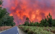 Парис хотоос ч том ой хээрийн түймэр гарчээ