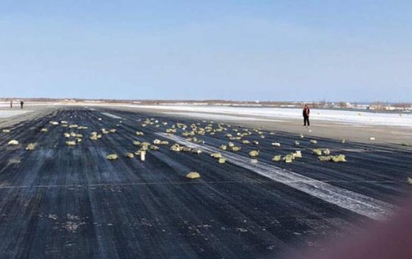 Якутск нисэх буудалд алтаар “бороо оржээ”