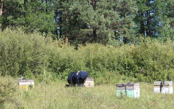 Зөгийн аж ахуй эрхлэх ач холбогдлын талаар сургалт явууллаа