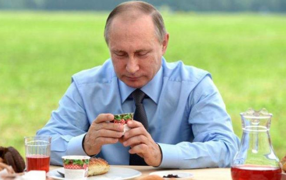 Владимир Путин юу зооглодог вэ?