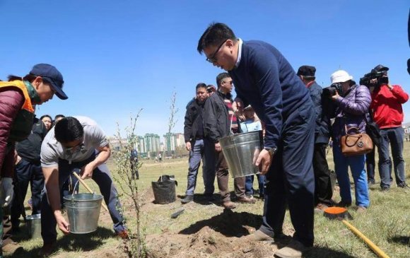 С.Батболд: Нийслэлээ ногоон хот болгоход хүн бүрийн хувь нэмэр чухал