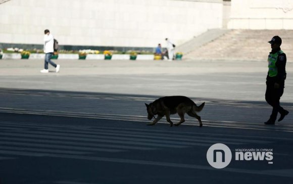 Малын хулгайчдыг нохойн тусламжтайгаар шуурхай илрүүлжээ