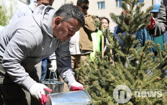 Ерөнхийлөгч мод тарьж, Өргөө амаржих газрын үйл ажиллагаатай танилцлаа