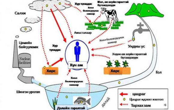 Хүнсний үйлдвэрлэл эрхлэгч иргэн, ААН-д зориулсан цацрагийн аюулгүй байдлын зөвлөмж