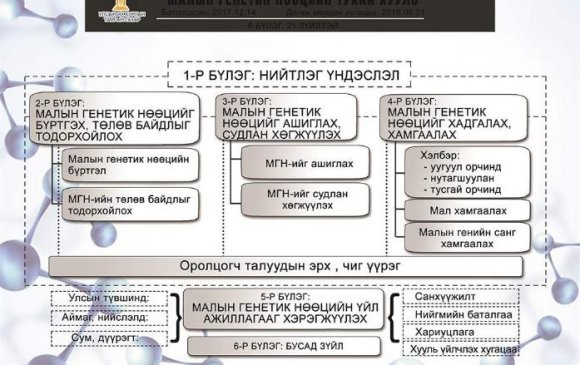 Инфографик: Малын генетик нөөцийн тухай хуулийн танилцуулга