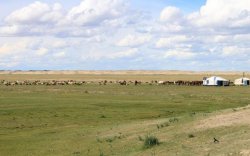Монгол орны нийт нутгийн 40 хувь нь гандуу байна