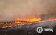 Ой, хээрийн түймрээс үүдэж 4.3 тэрбум төгрөгийн хохирол учирчээ