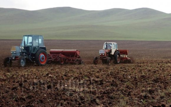 Тариалалтад 60 мянган тонн буудайн үр шаардлагатай