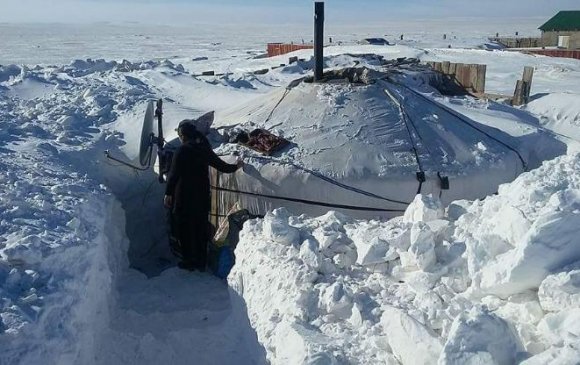 "Сүхбаатар аймгийн 60 гаруй хувь нь цагаан зудтай байна"