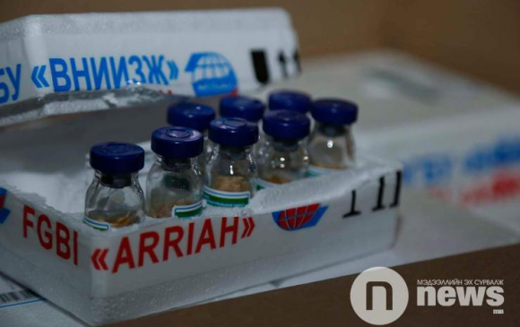 Мялзан өвчний вакциныг баруун аймгуудад түгээнэ