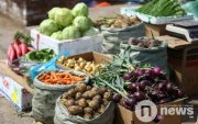 Урамшуулалд хамрагдах хүнсний ногооны жагсаалт